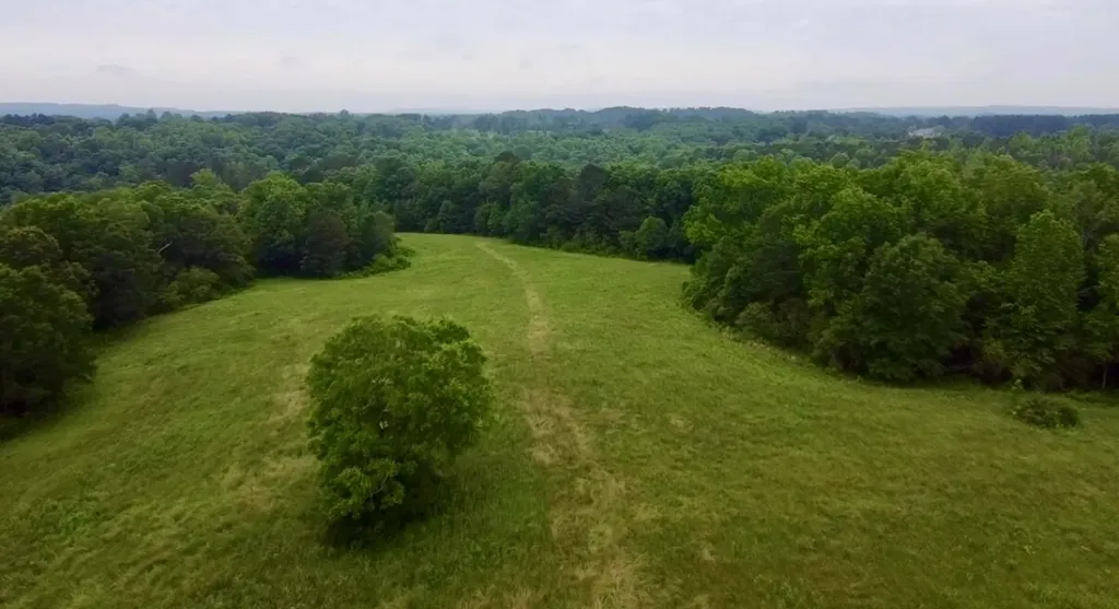 0 Co Road 548 Hanceville AL 35077