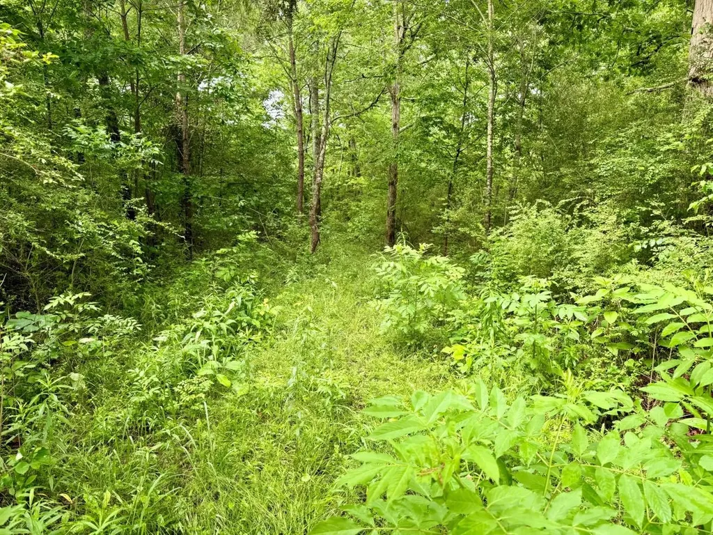 0 Co Road 548 Hanceville AL 35077