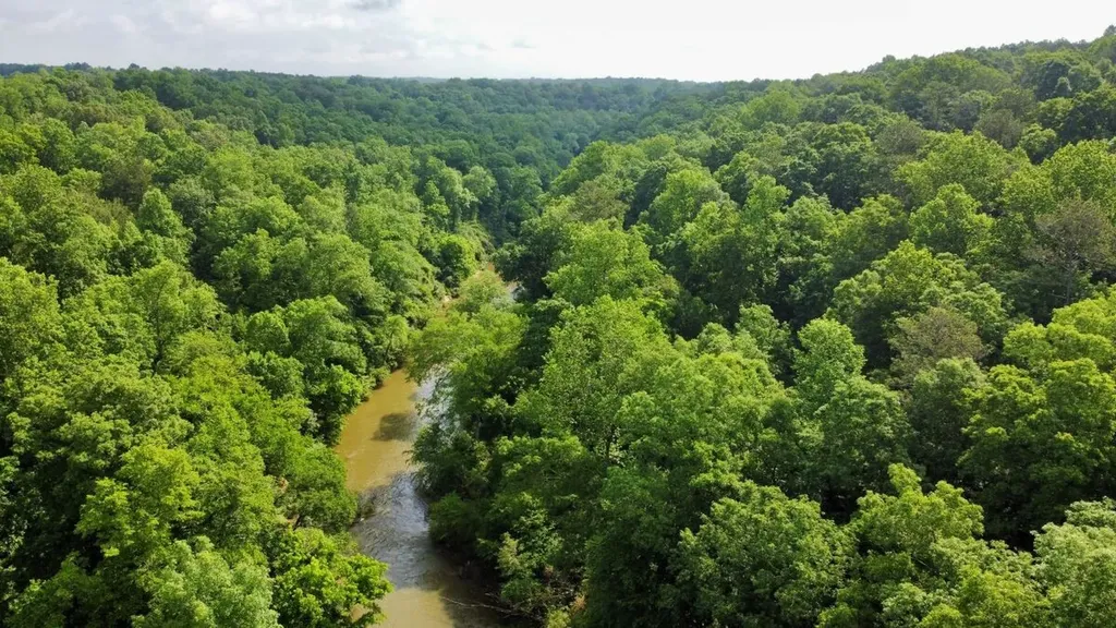 0 Co Road 548 Hanceville AL 35077