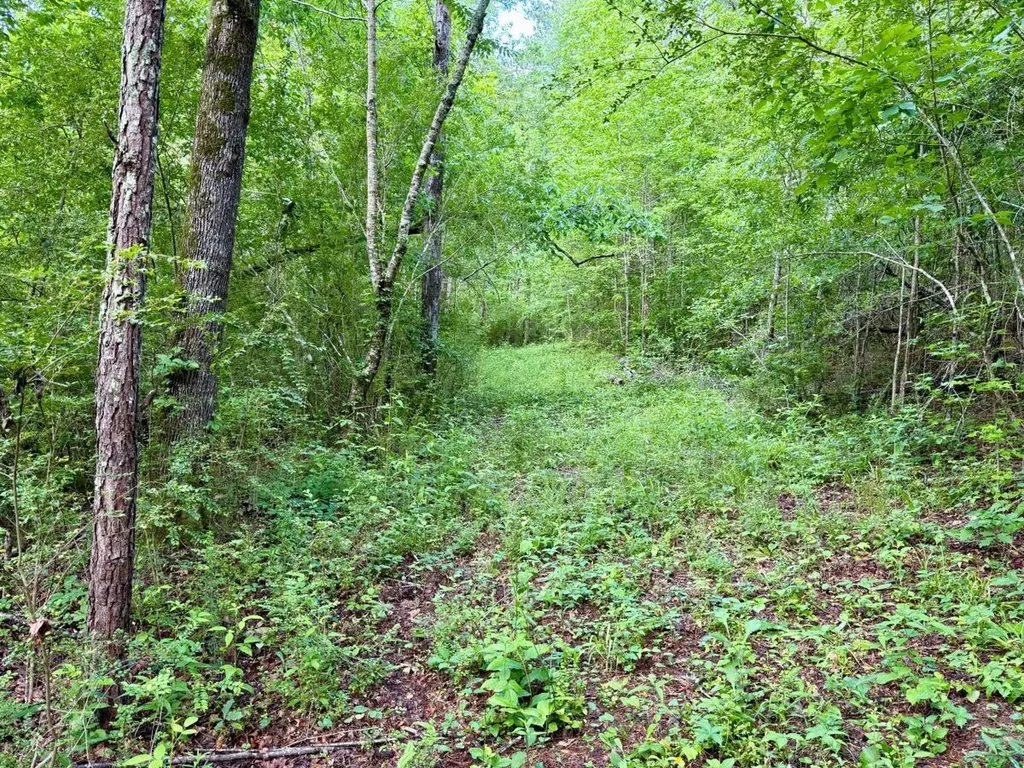 0 Co Road 548 Hanceville AL 35077