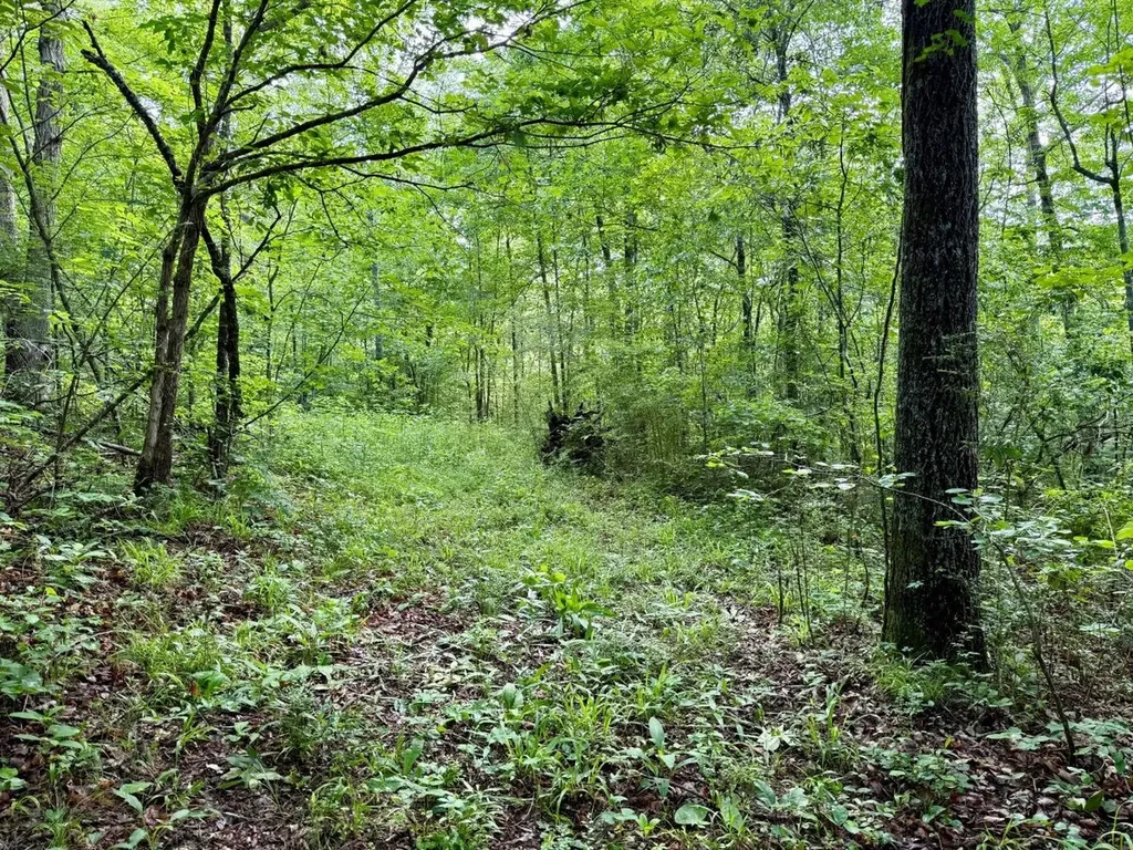 0 Co Road 548 Hanceville AL 35077