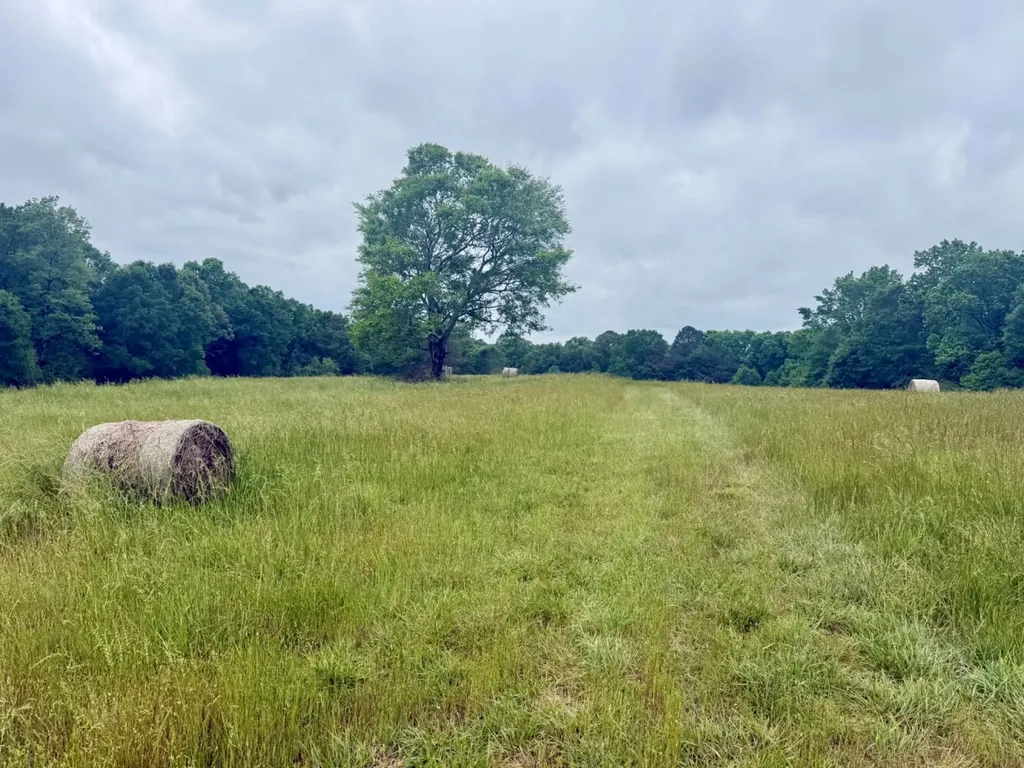 0 Co Road 548 Hanceville AL 35077