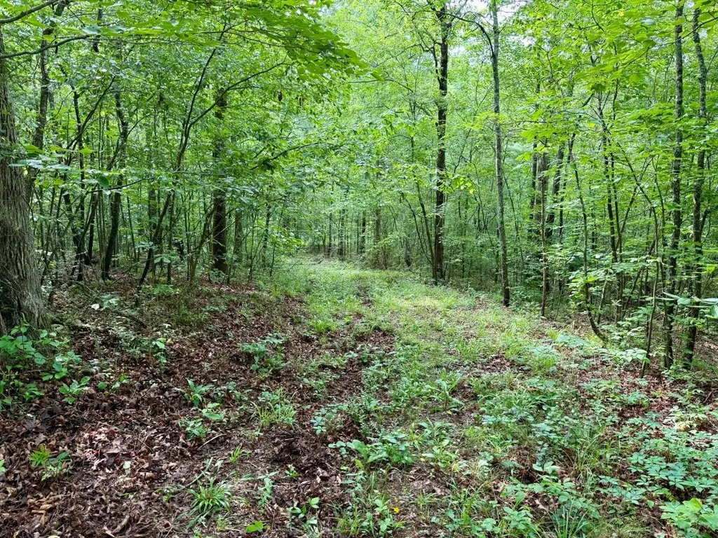 0 Co Road 548 Hanceville AL 35077