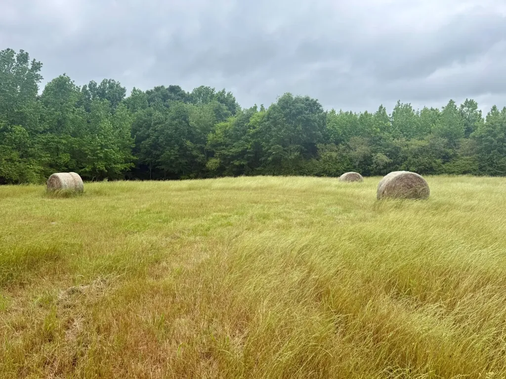 0 Co Road 548 Hanceville AL 35077