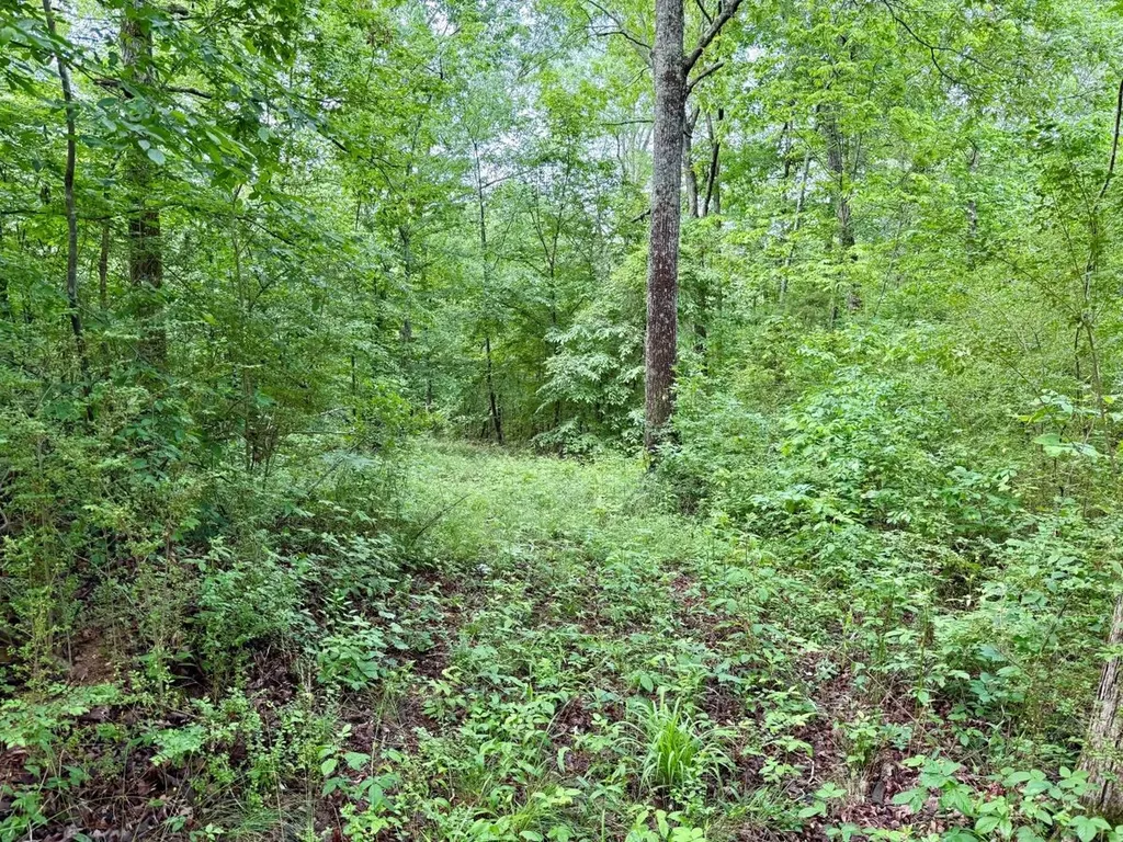0 Co Road 548 Hanceville AL 35077