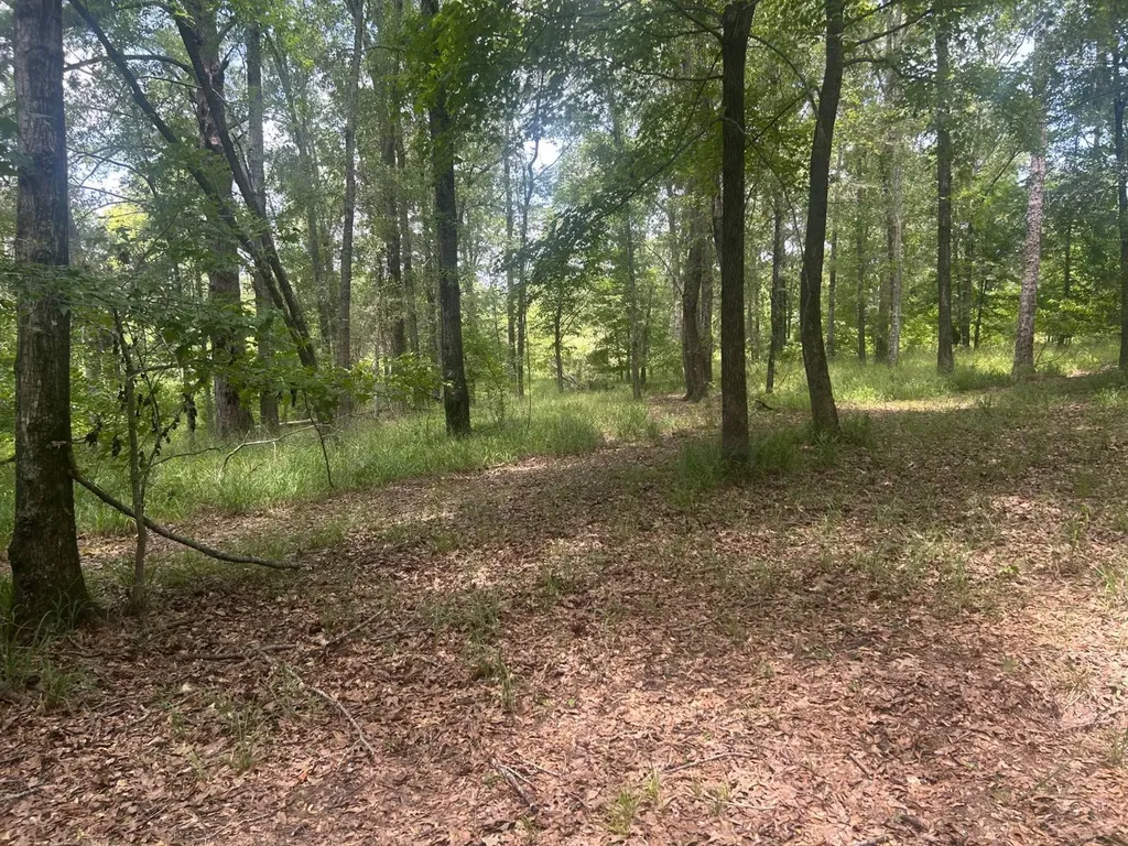 0 County Road 28 Catherine AL 36728