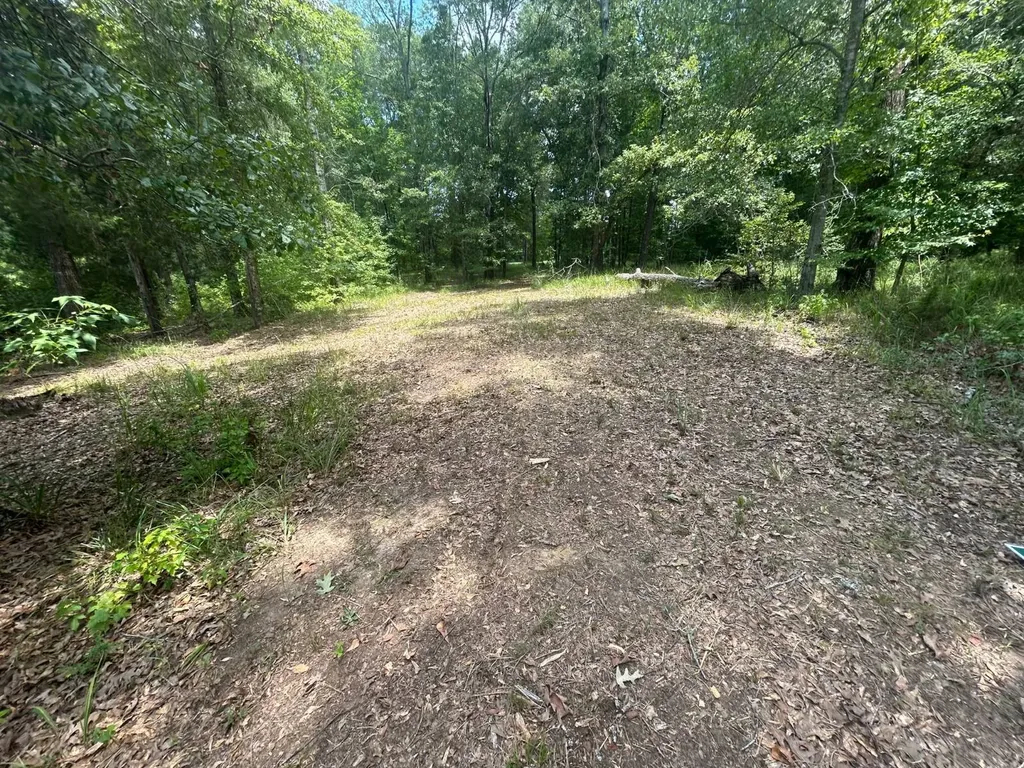 0 County Road 28 Catherine AL 36728