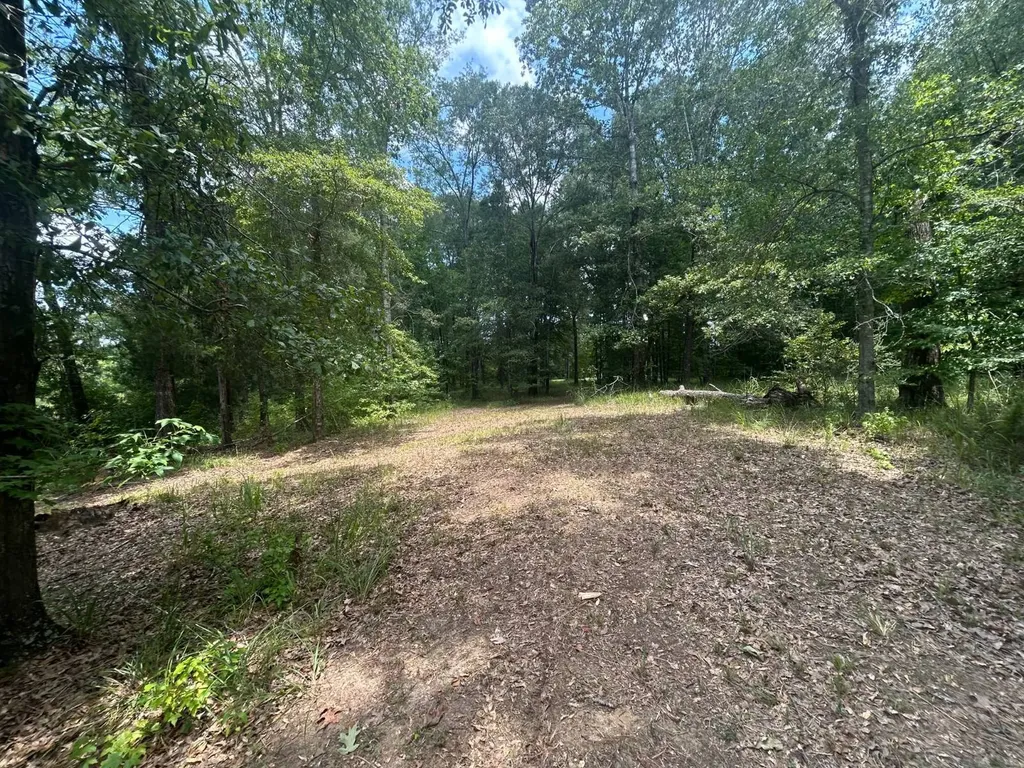 0 County Road 28 Catherine AL 36728