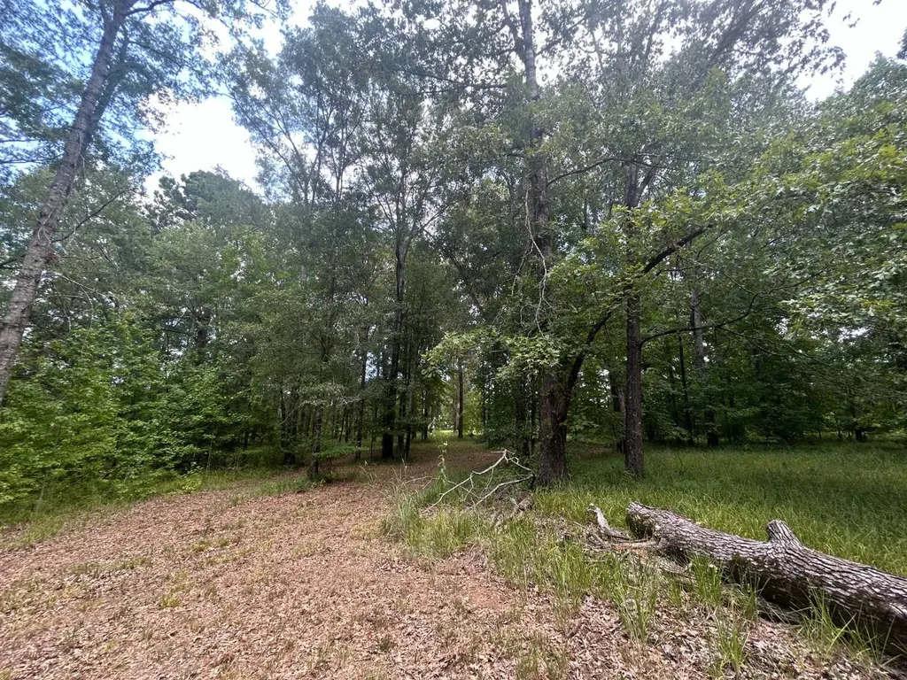 0 County Road 28 Catherine AL 36728