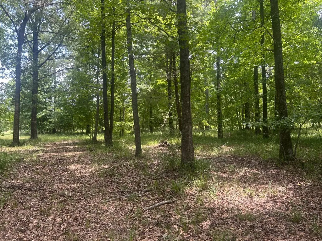0 County Road 28 Catherine AL 36728