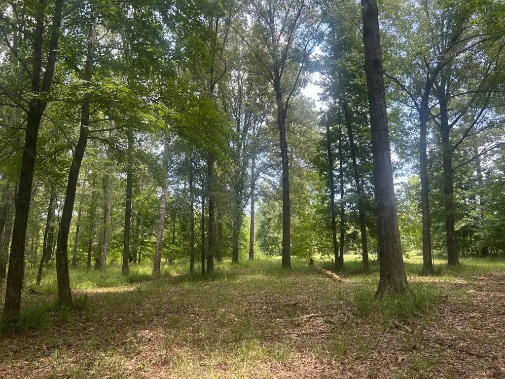 0 County Road 28 Catherine AL 36728