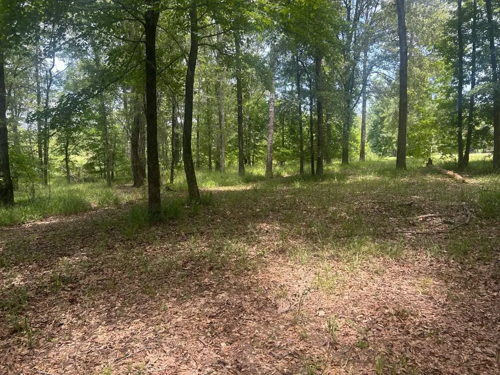 0 County Road 28 Catherine AL 36728
