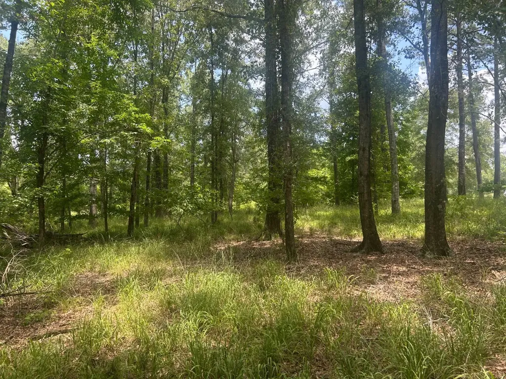 0 County Road 28 Catherine AL 36728