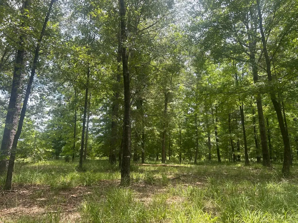 0 County Road 28 Catherine AL 36728