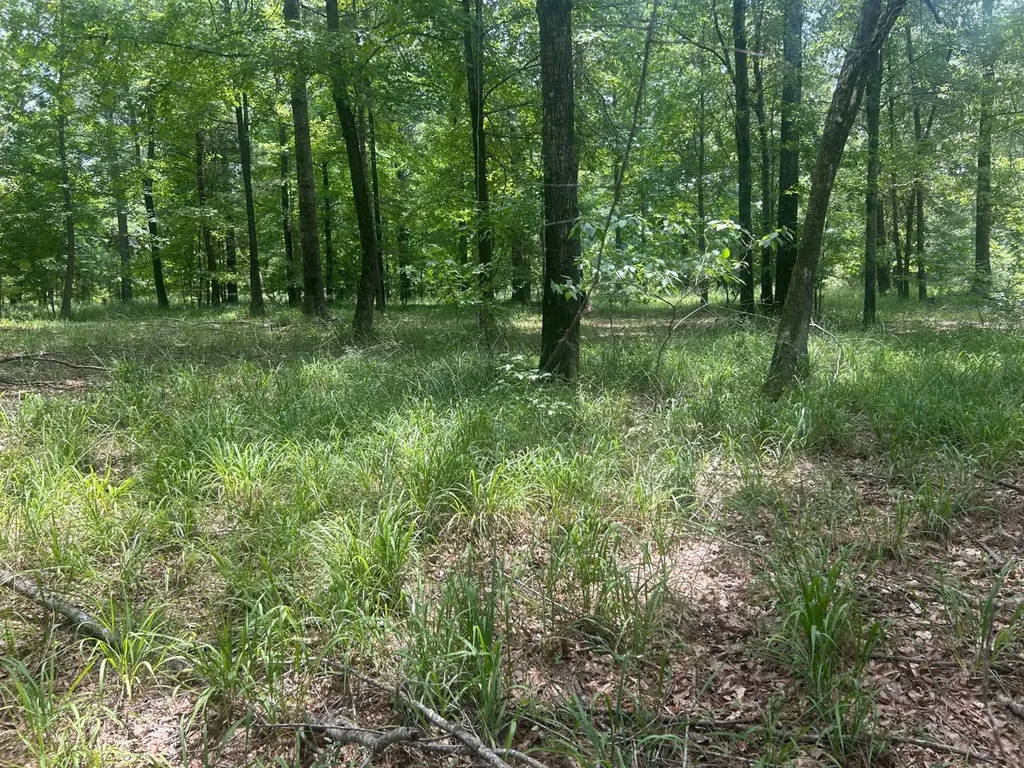 0 County Road 28 Catherine AL 36728