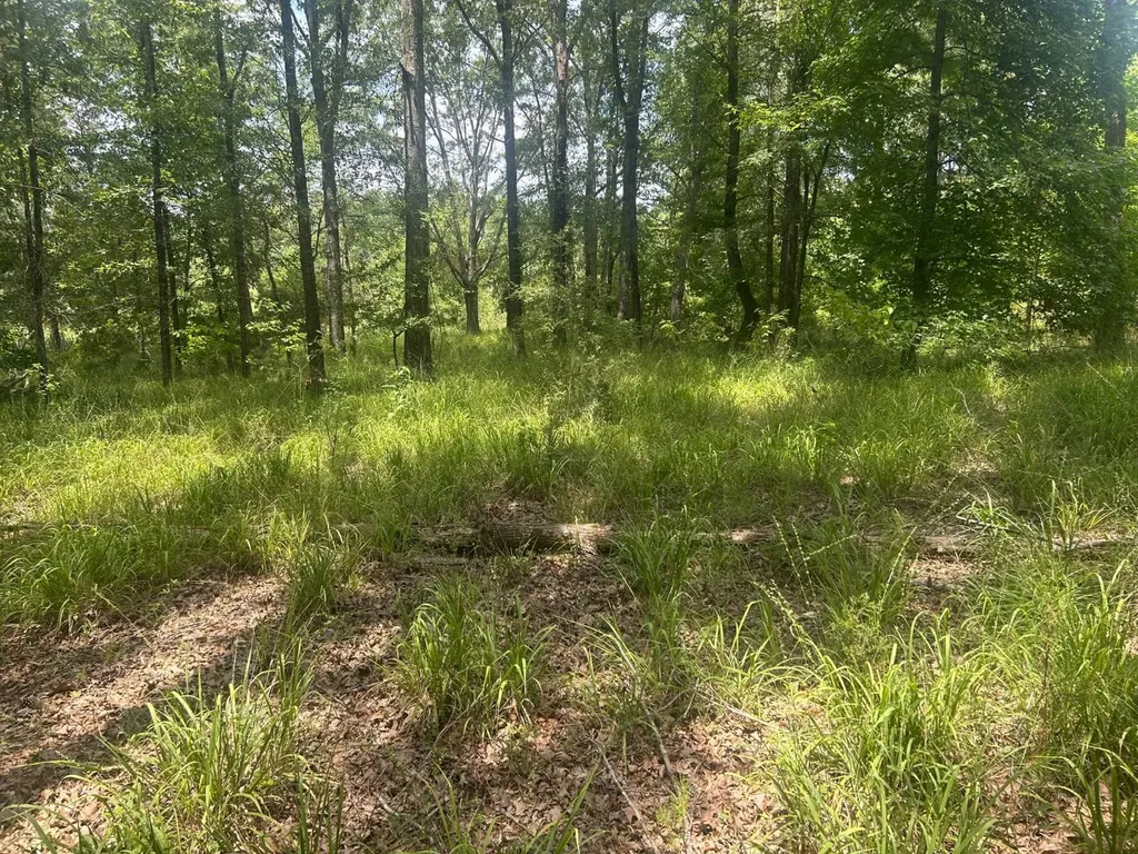 0 County Road 28 Catherine AL 36728