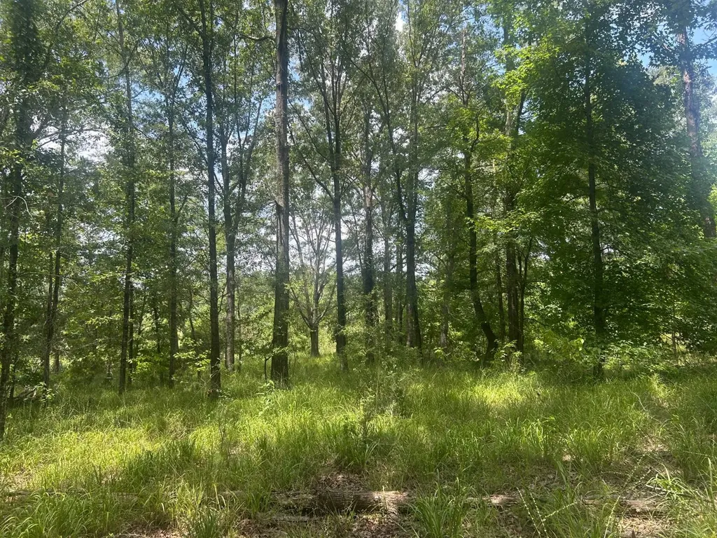 0 County Road 28 Catherine AL 36728