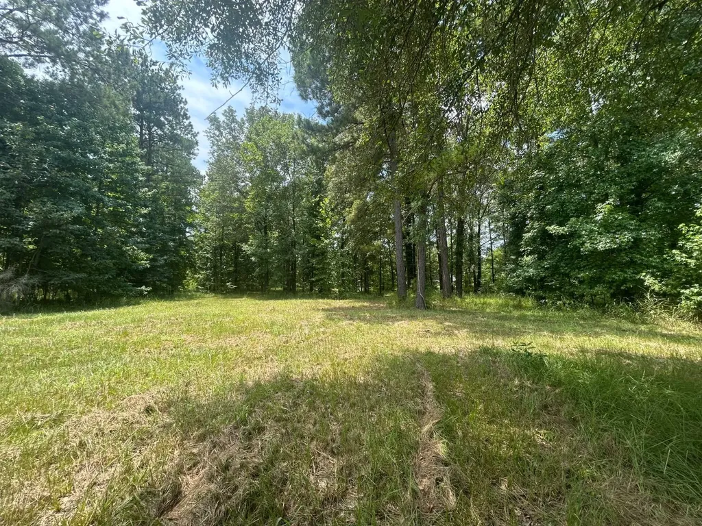 0 County Road 28 Catherine AL 36728