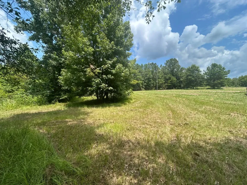 0 County Road 28 Catherine AL 36728