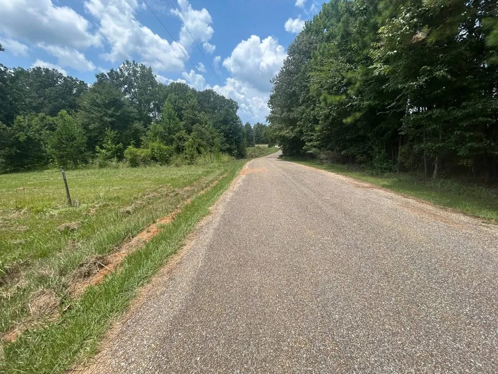 0 County Road 28 Catherine AL 36728