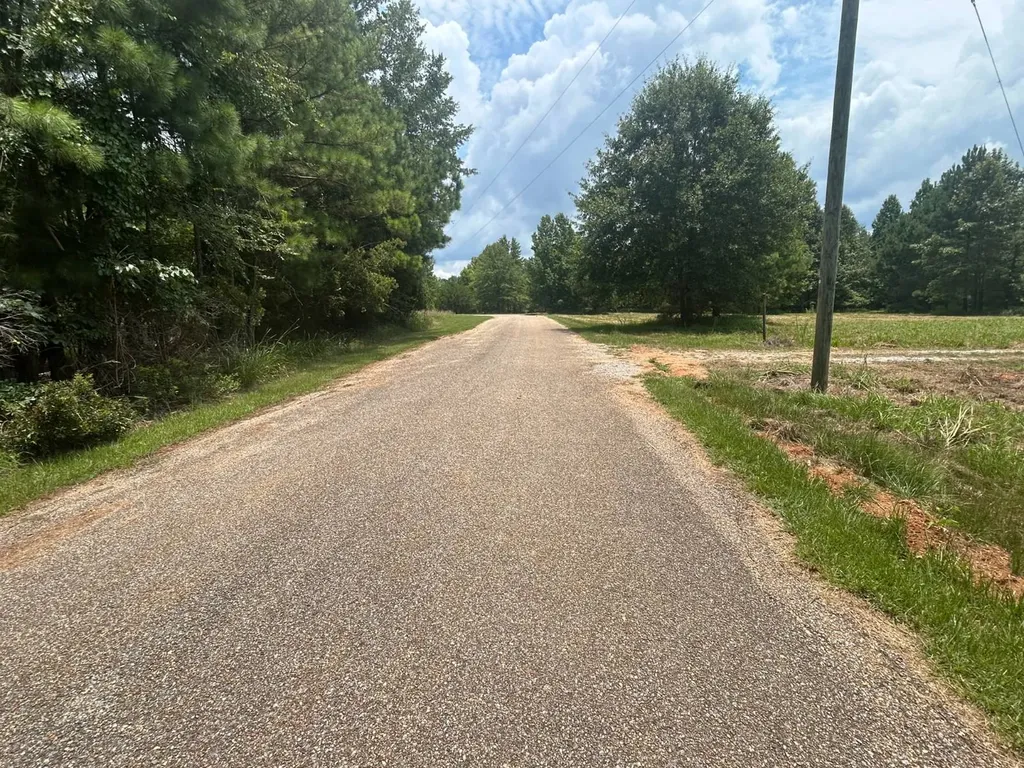 0 County Road 28 Catherine AL 36728