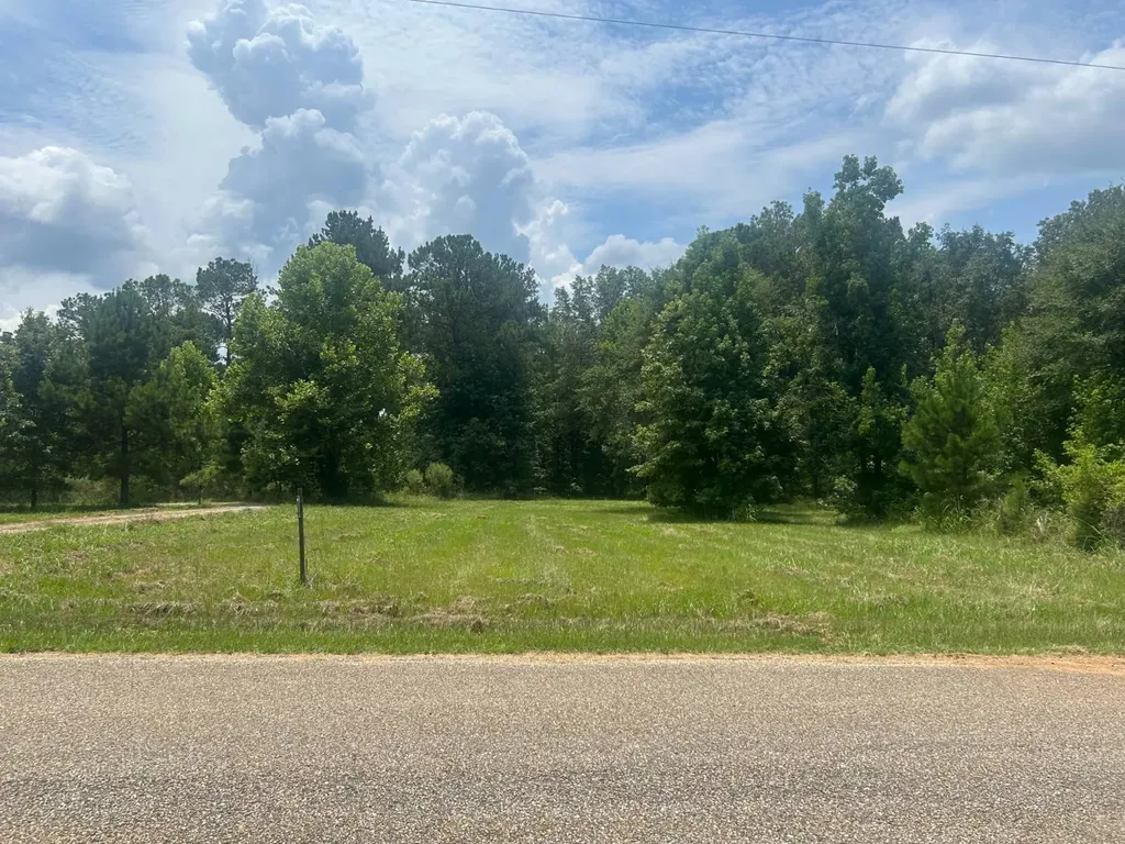 0 County Road 28 Catherine AL 36728