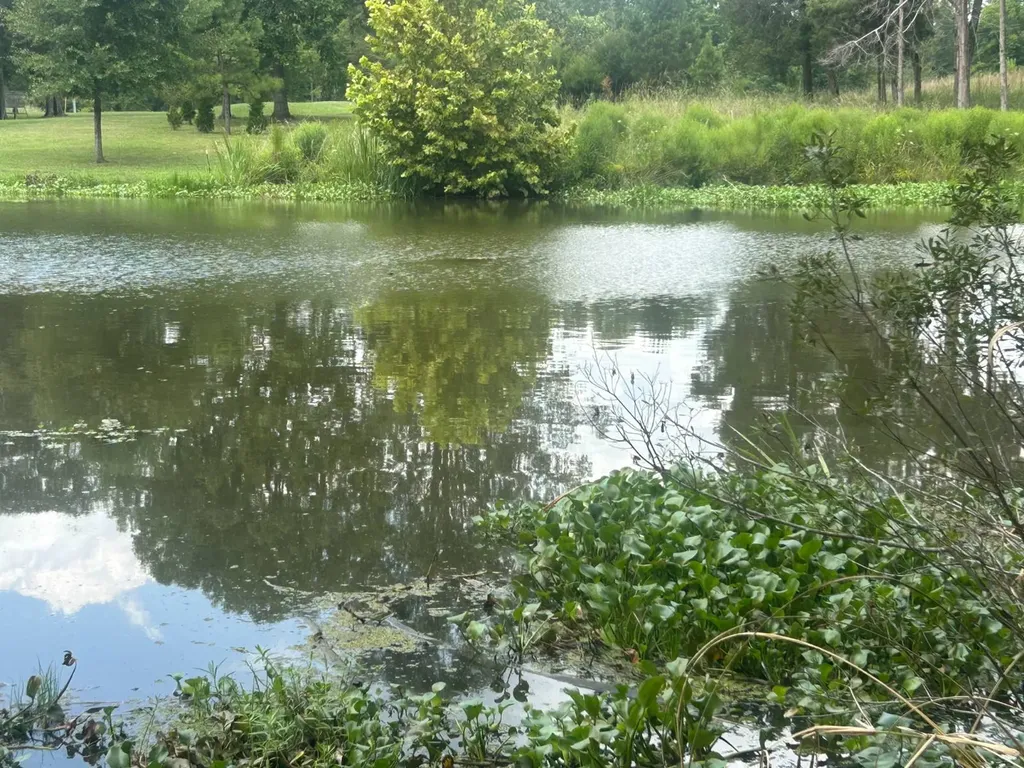 0 County Road 28 Catherine AL 36728