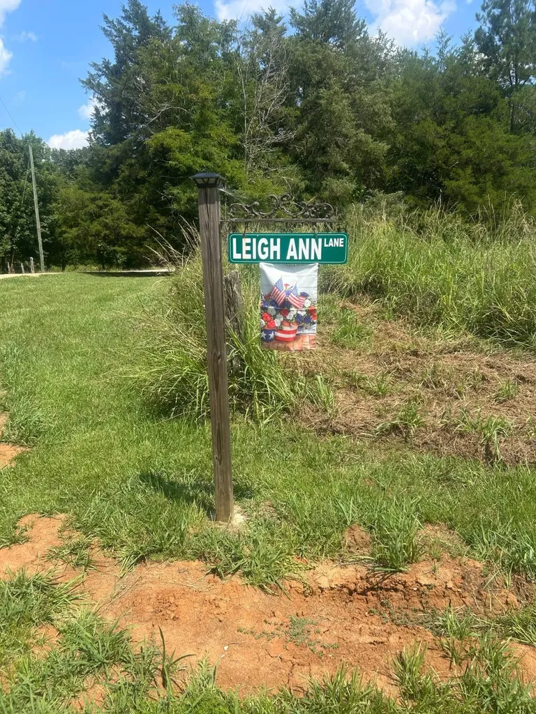 0 County Road 28 Catherine AL 36728