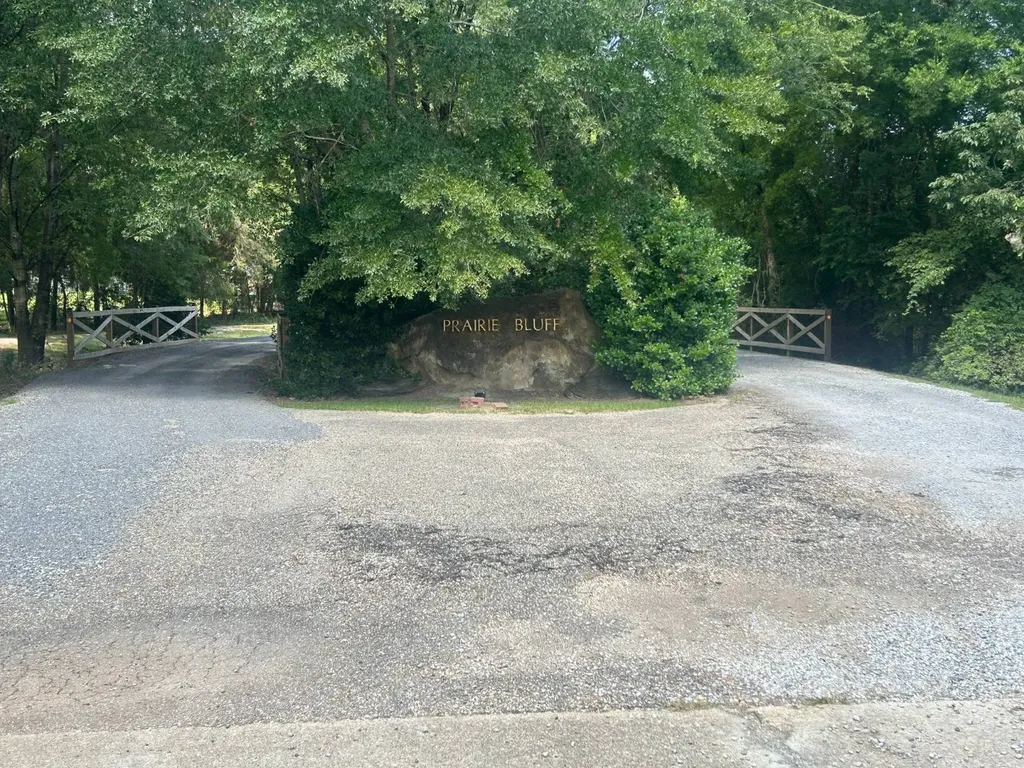 0 County Road 28 Catherine AL 36728