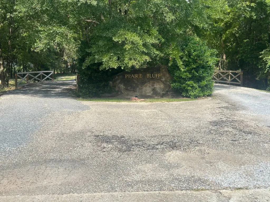 0 County Road 28 Catherine AL 36728
