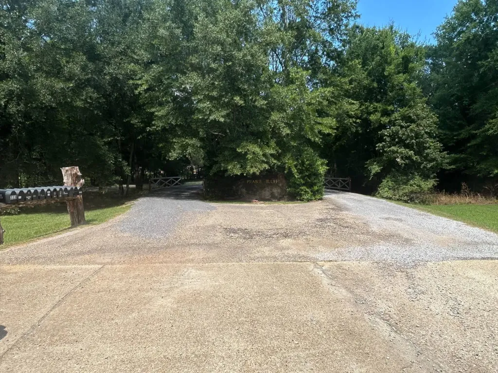 0 County Road 28 Catherine AL 36728