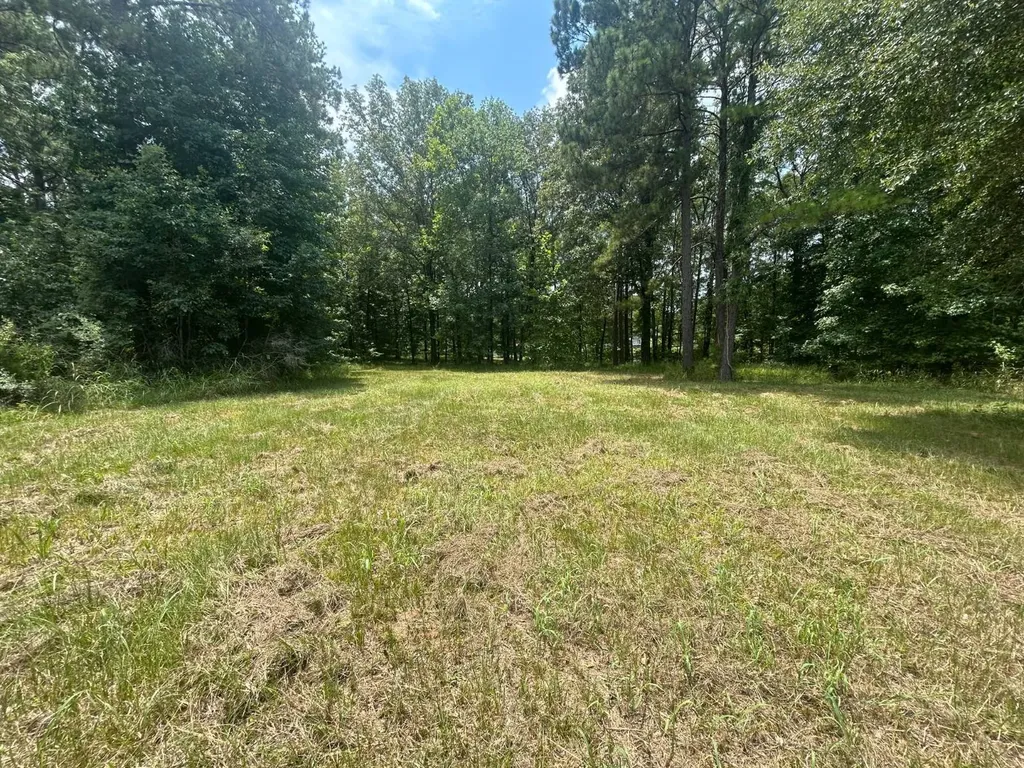 0 County Road 28 Catherine AL 36728