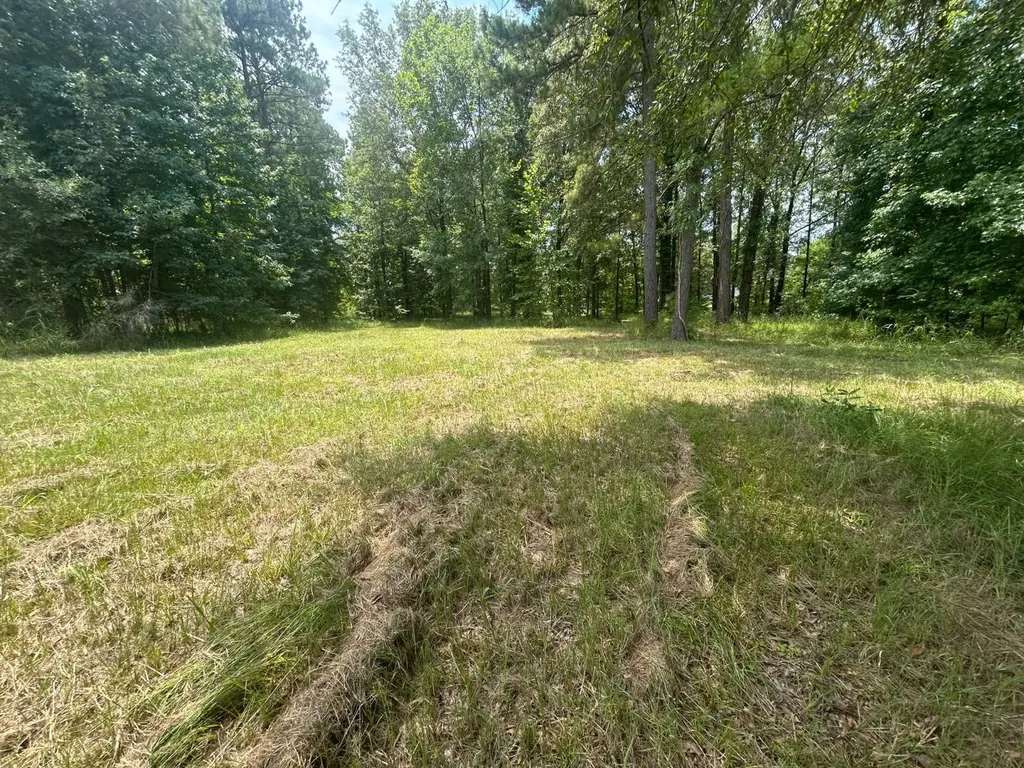 0 County Road 28 Catherine AL 36728