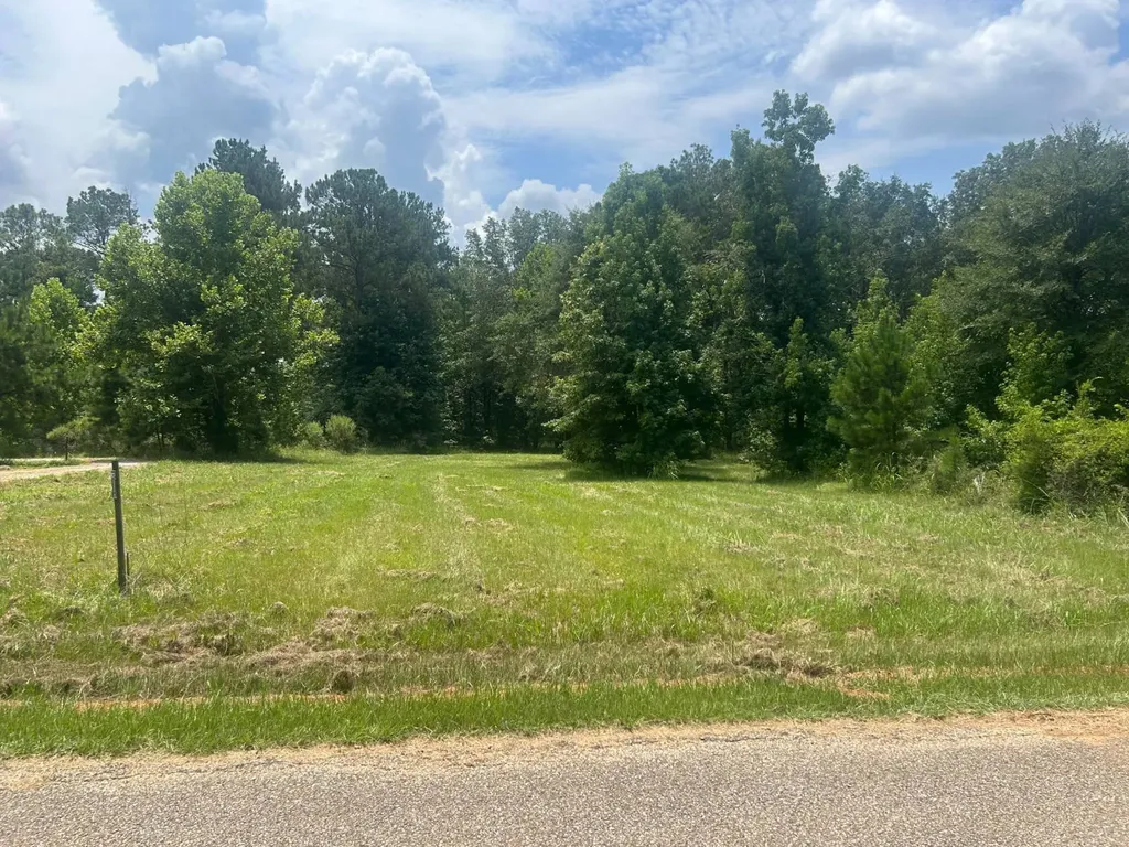0 County Road 28 Catherine AL 36728
