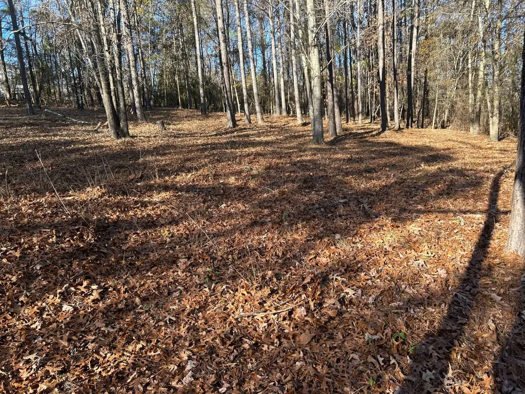 1325 Crows Pass Prattville AL 36067