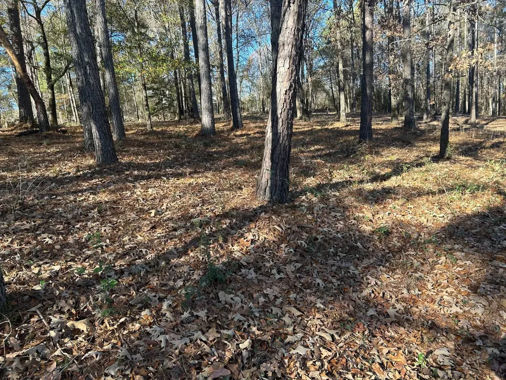 1325 Crows Pass Prattville AL 36067