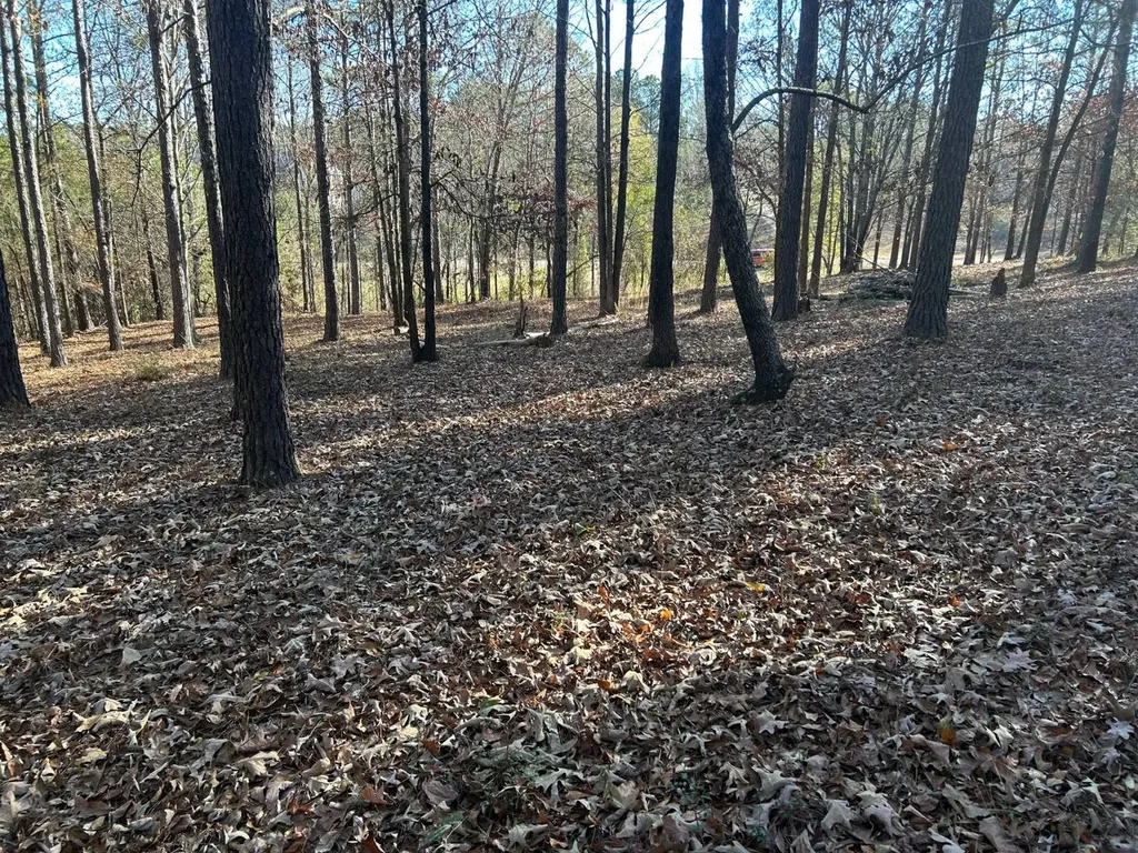1325 Crows Pass Prattville AL 36067