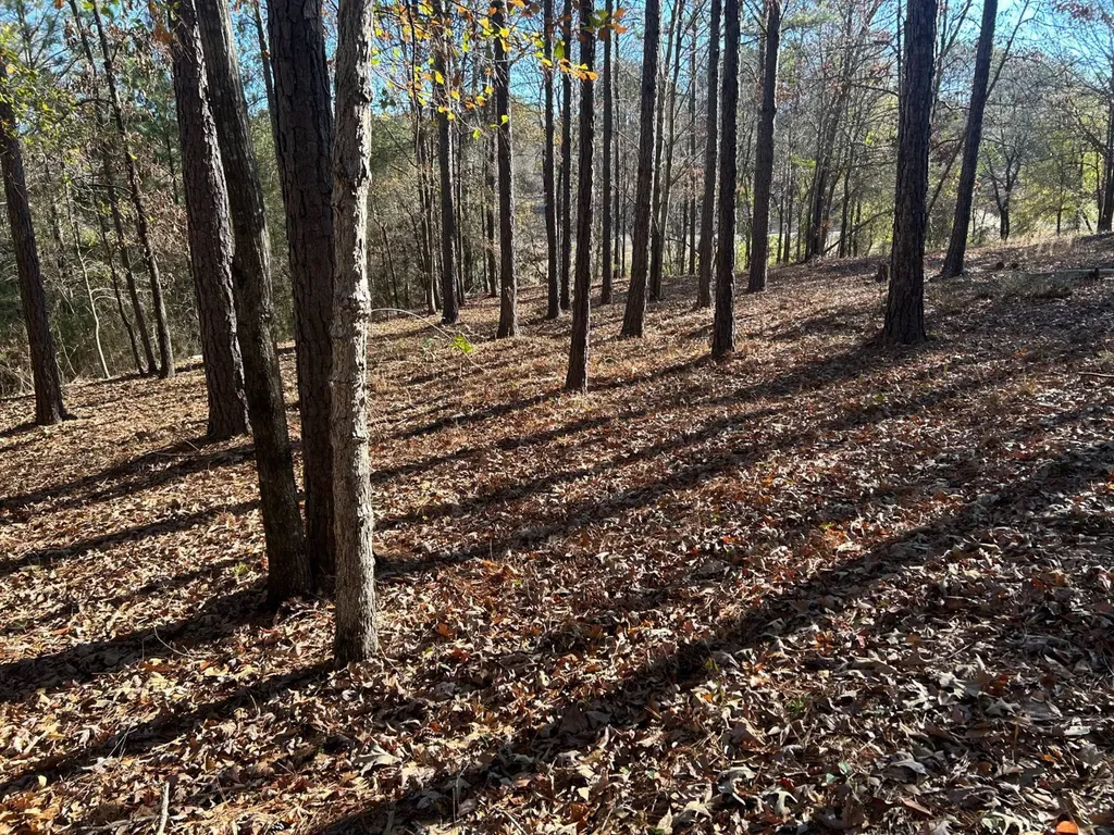 1325 Crows Pass Prattville AL 36067