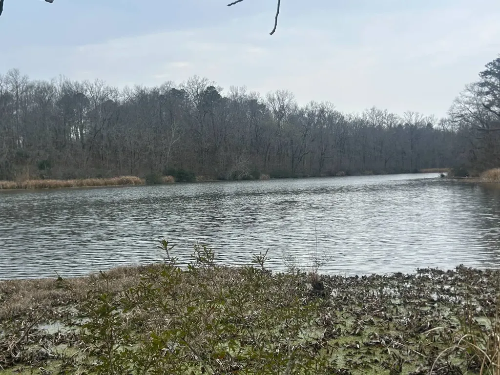 0 County Road 29 Alberta AL 36720