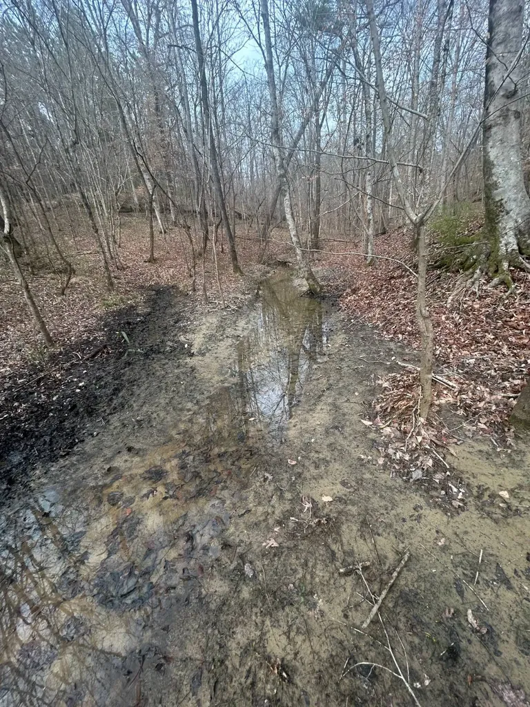 0 County Road 29 Alberta AL 36720