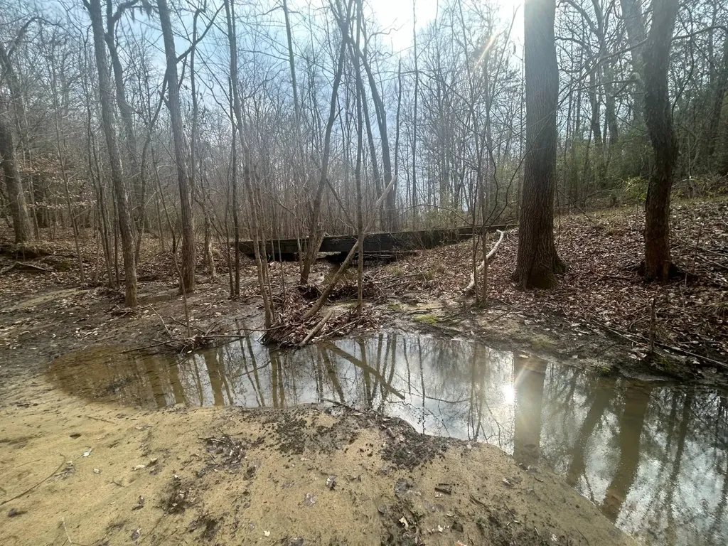 0 County Road 29 Alberta AL 36720