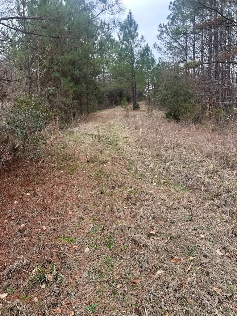 0 County Road 29 Alberta AL 36720