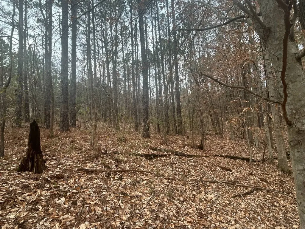 0 County Road 29 Alberta AL 36720