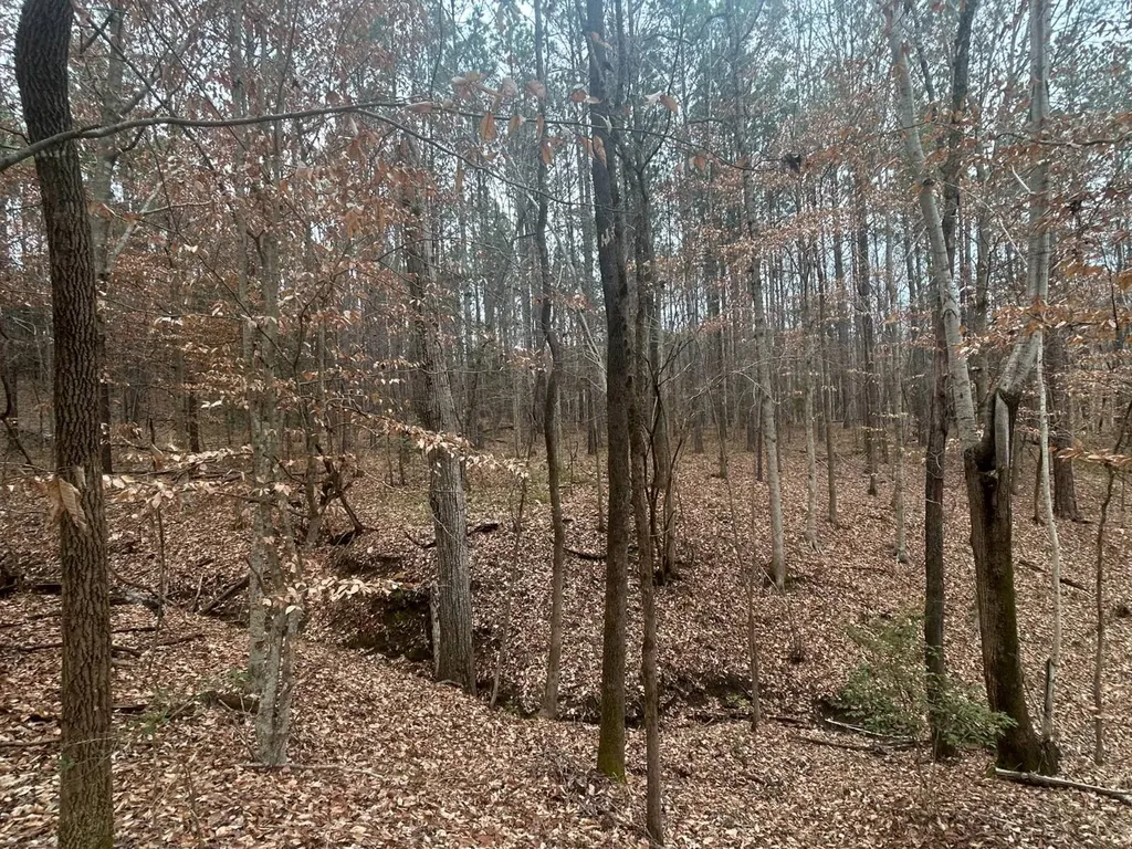 0 County Road 29 Alberta AL 36720