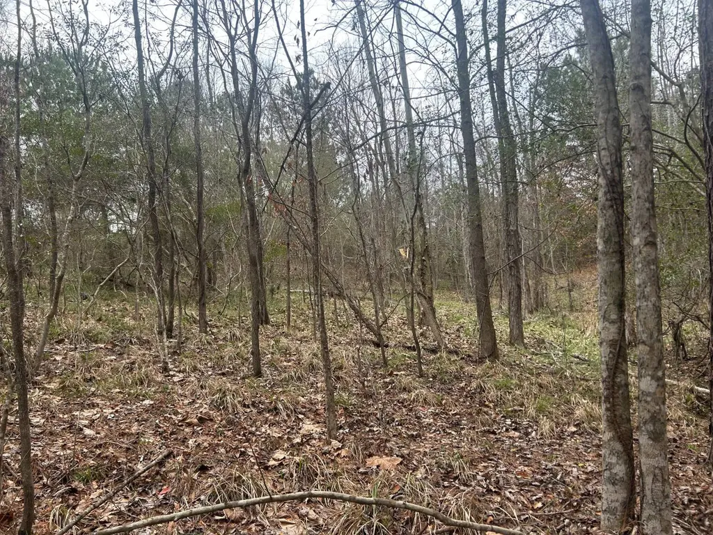0 County Road 29 Alberta AL 36720