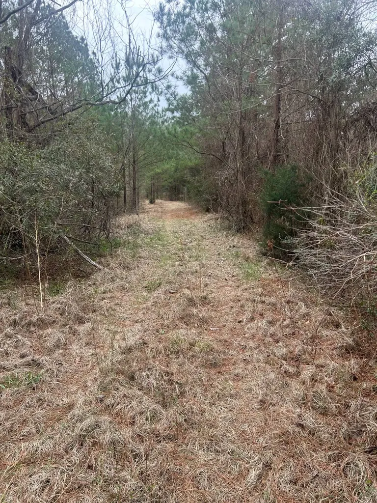 0 County Road 29 Alberta AL 36720