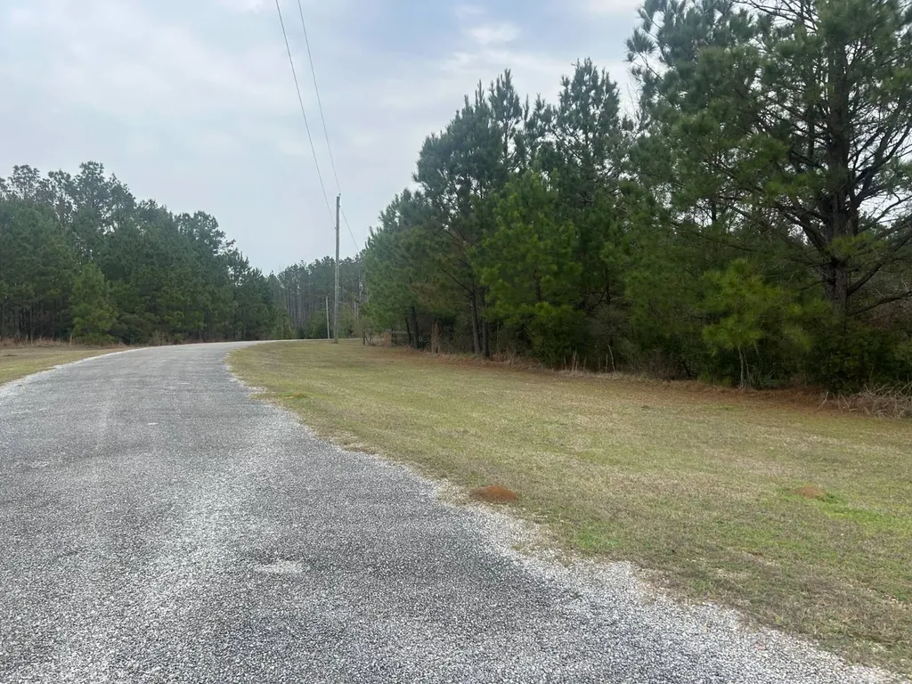 0 County Road 29 Alberta AL 36720