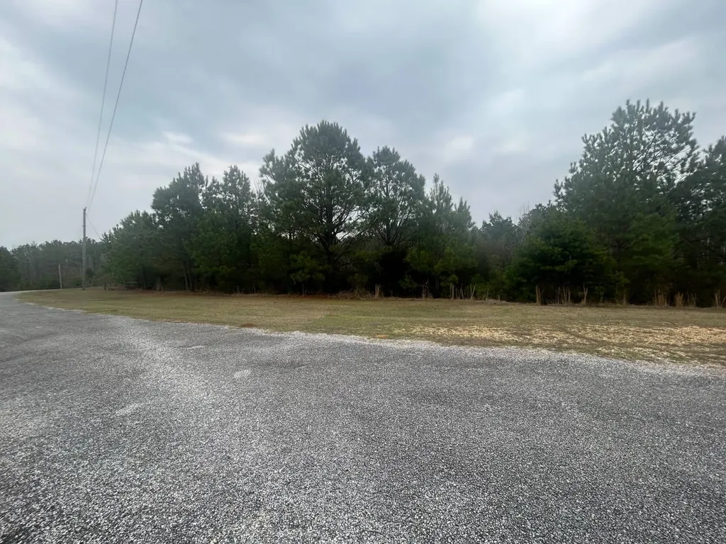 0 County Road 29 Alberta AL 36720