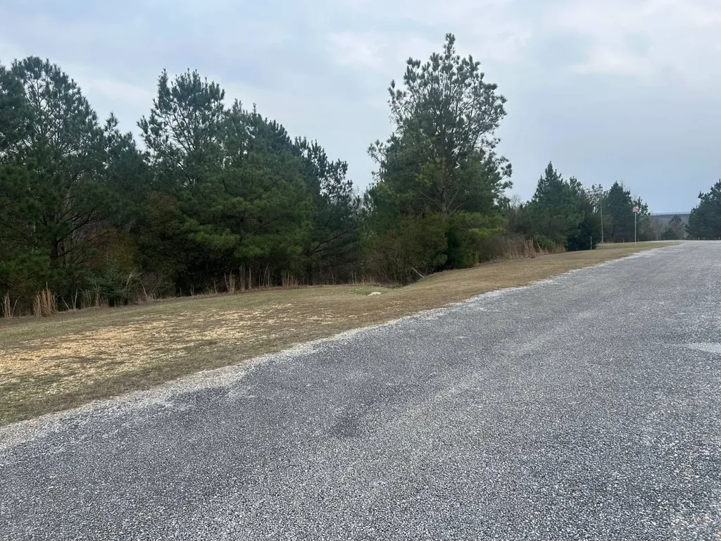 0 County Road 29 Alberta AL 36720