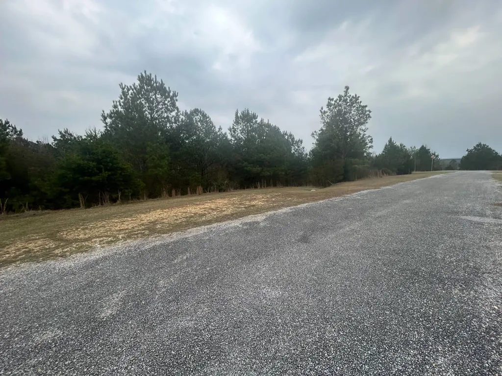 0 County Road 29 Alberta AL 36720